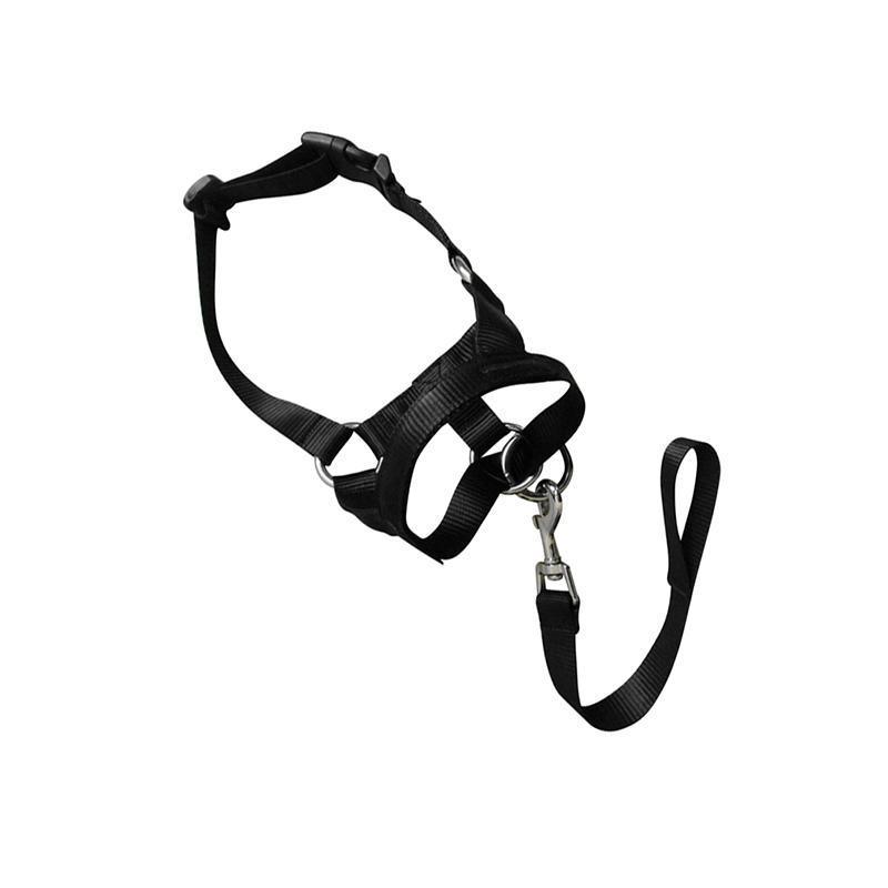 Black Dog Training Head Collar Halter Stop Pulling Training Tool Harness Strap Leader - M