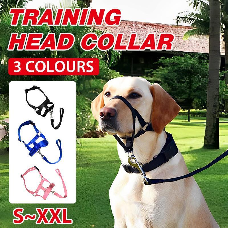 Black Dog Training Head Collar Halter Stop Pulling Training Tool Harness Strap Leader - L