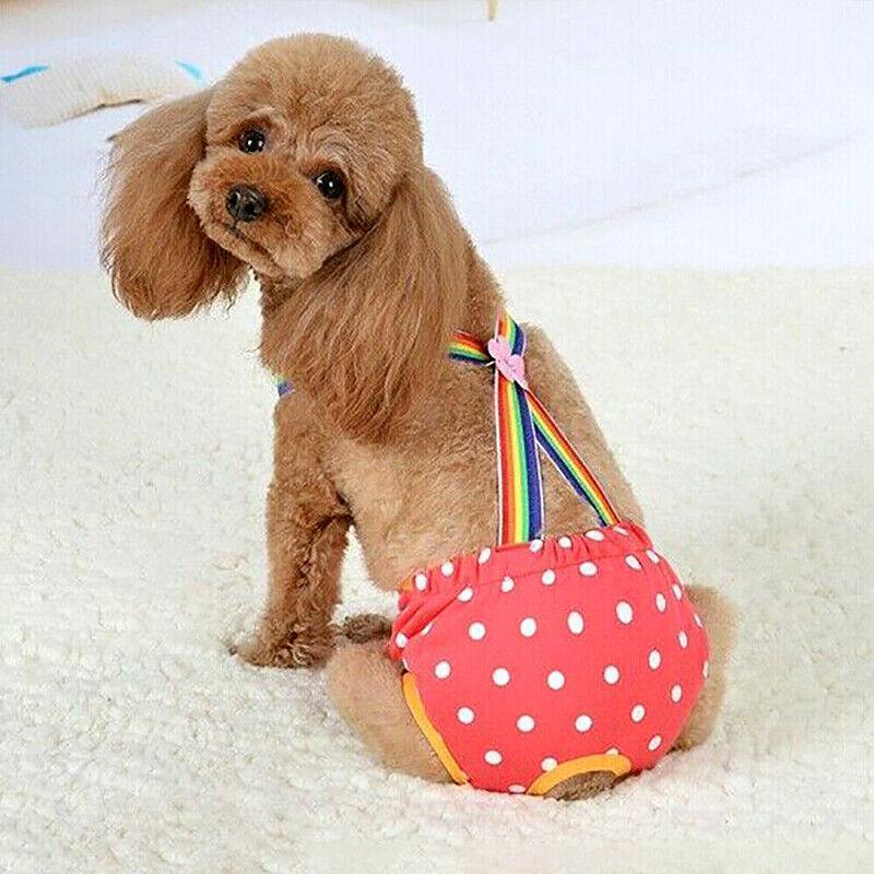Female Pet Dog Cat Puppy Pant Menstrual Sanitary Nappy Diaper Wrap Underwear Blue - XS