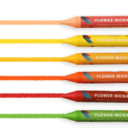 Flower Monaco Palmy Crayons 16 Colours-1954803153165750276