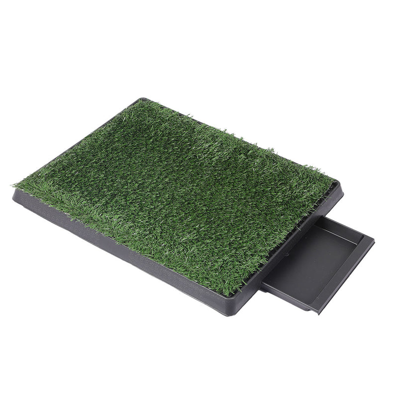 PaWz Indoor Dog Pet Grass Potty Training-1954802530315800576
