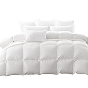 DreamZ 500GSM All Season Goose Down Single-1954803027118526464