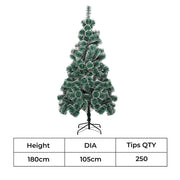 Santaco 1.8M 250 Tips Christmas Tree Full Pine Needle-1952534165647921154