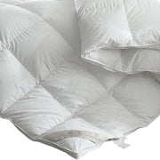 DreamZ 500GSM All Season Goose Down Single-1954803027118526469