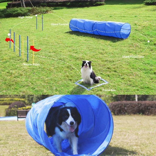 Floofi Dog Agility Training Equipment Set