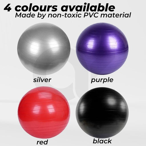 Verpeak Yoga Ball 55cm (Purple)