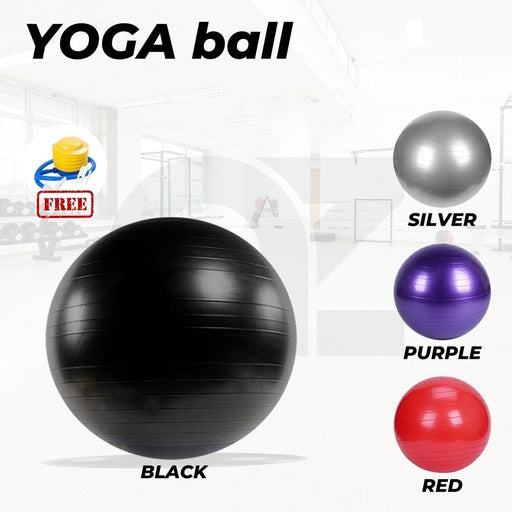 Verpeak Yoga Ball 55cm (Purple)