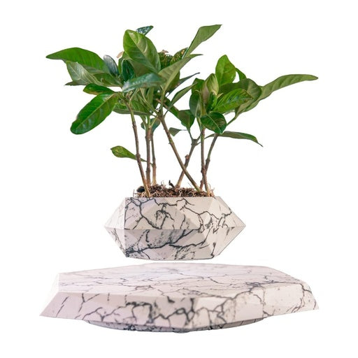 GOMINIMO Magnetic Levitating Plant Pot Marble