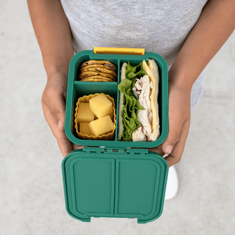 Little Lunch Box Co Bento Two Grape-1954803062254211077