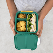 Little Lunch Box Co Bento Two Blueberry-1954803062069661701