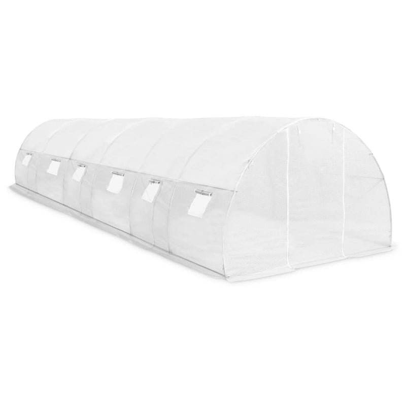 vidaXL Greenhouse 27 m² 900x300x200 cm