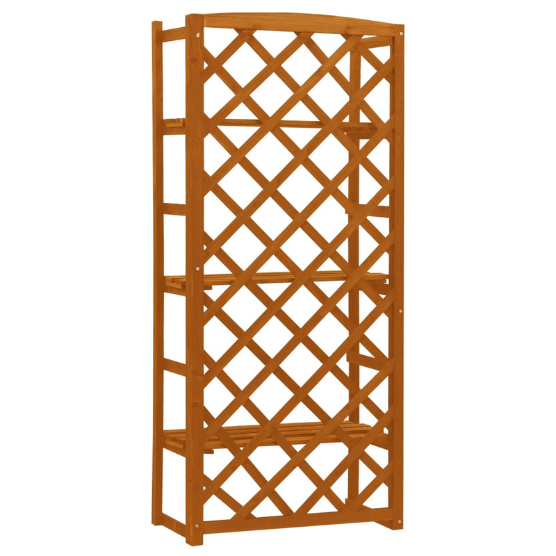 vidaXL Plant Stand with Trellis Orange 60x30x140 cm Solid Firwood