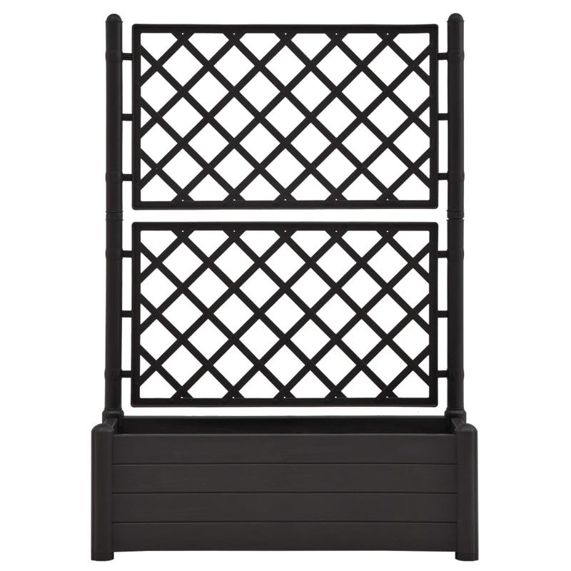 vidaXL Garden Planter with Trellis 100x43x142 cm PP Anthracite