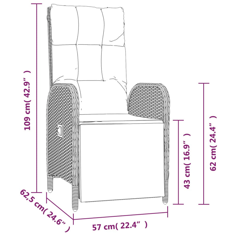 vidaXL Outdoor Reclining Chairs with Cushions 2 pcs Poly Rattan Grey