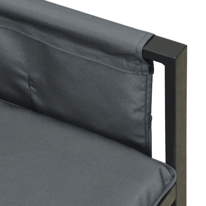 vidaXL 2 Piece Garden Lounge Set  Anthracite Steel