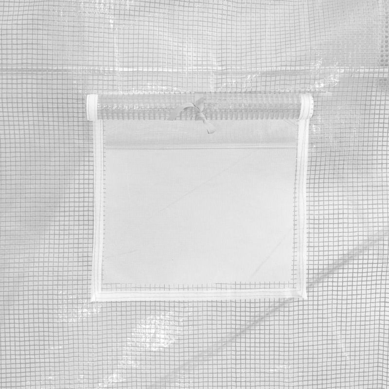 vidaXL Greenhouse with Steel Frame White 6 m² 3x2x2 m