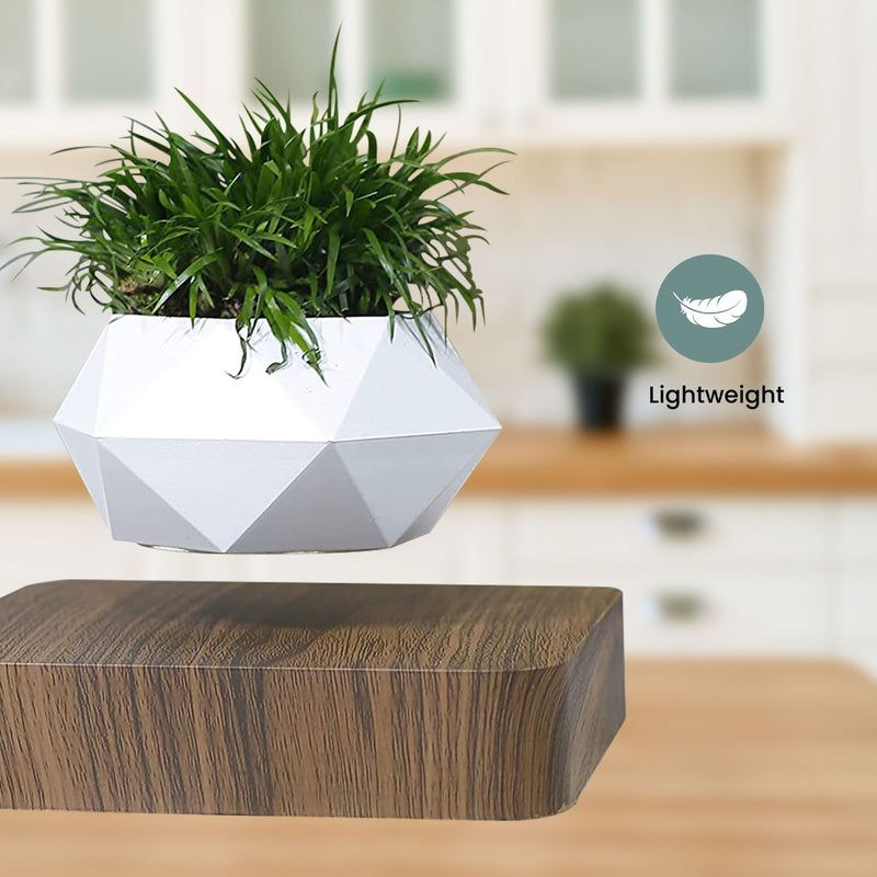 GOMINIMO Magnetic Levitating Plant Pot Dark Brown Base