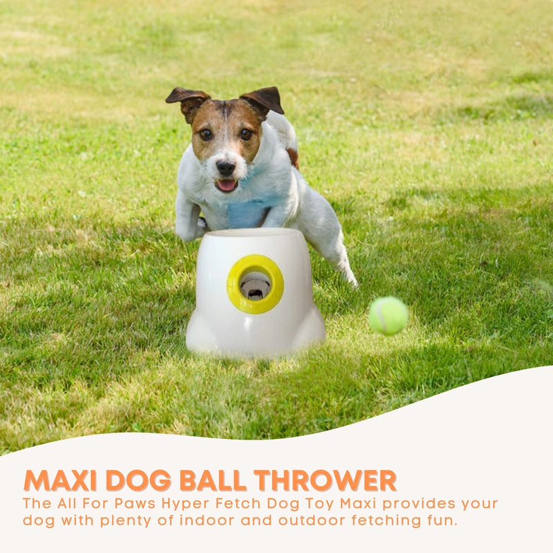 Hyper Fetch Maxi Dog Ball Thrower - Large Interactive Pet Toy Launcher