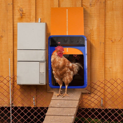 FLOOFI Automatic Chicken House Coop Door Opener with Light Sensor Chicken Coop